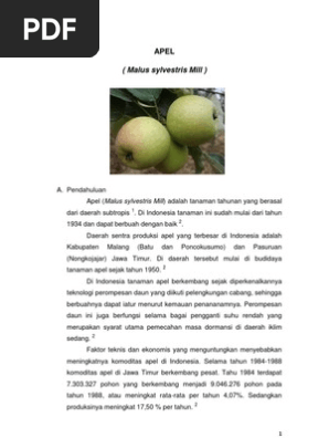Contoh Teks Laporan Hasil Observasi Buah Apel Berbagai Teks Penting
