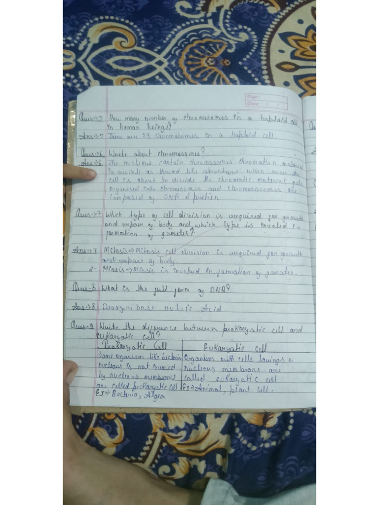 Heavy Weight Notes | PDF