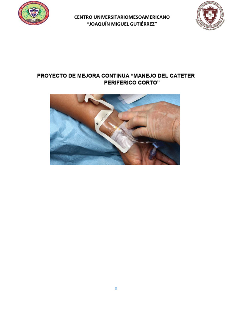 Cateter Periferico Corto y Central | PDF