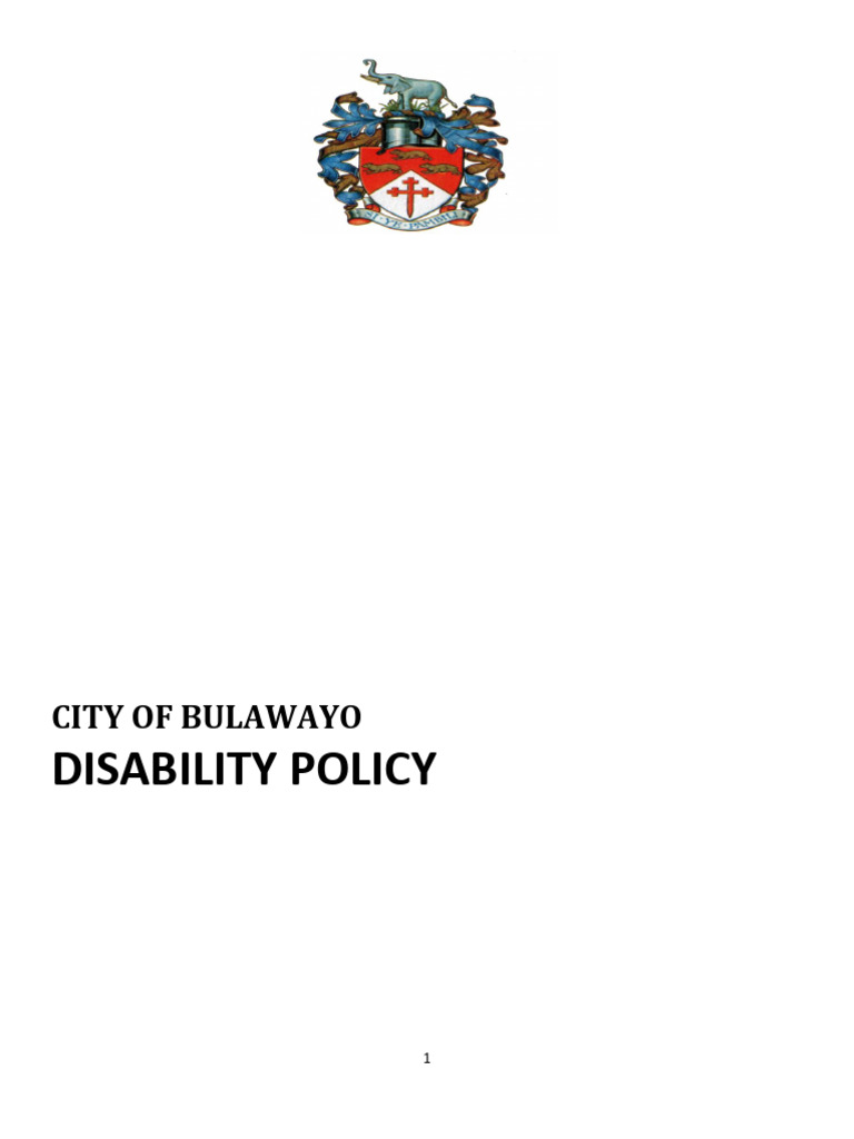 Bulawayo Disability Policy Overview | PDF | Disability