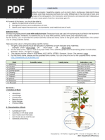 Monocot and Dicot Root Anatomy | PDF | Root | Plant Stem