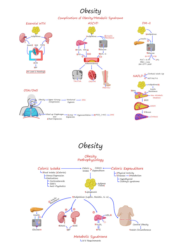 10 - Obesity & Metabolic Syndrome (Illustrations Key) | PDF