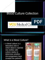 Blood Culture Collection