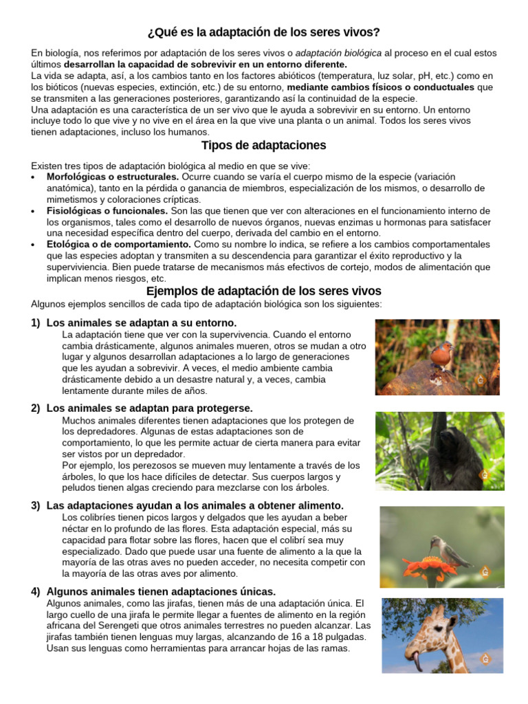 Qué Es La Adaptación de Los Seres Vivos | PDF