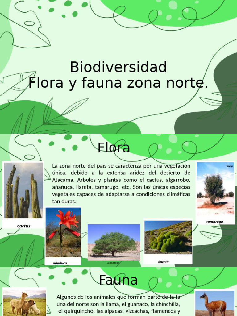 Flora y fauna de la zona norte de Chile | PDF | Hogar, jardinería y ...