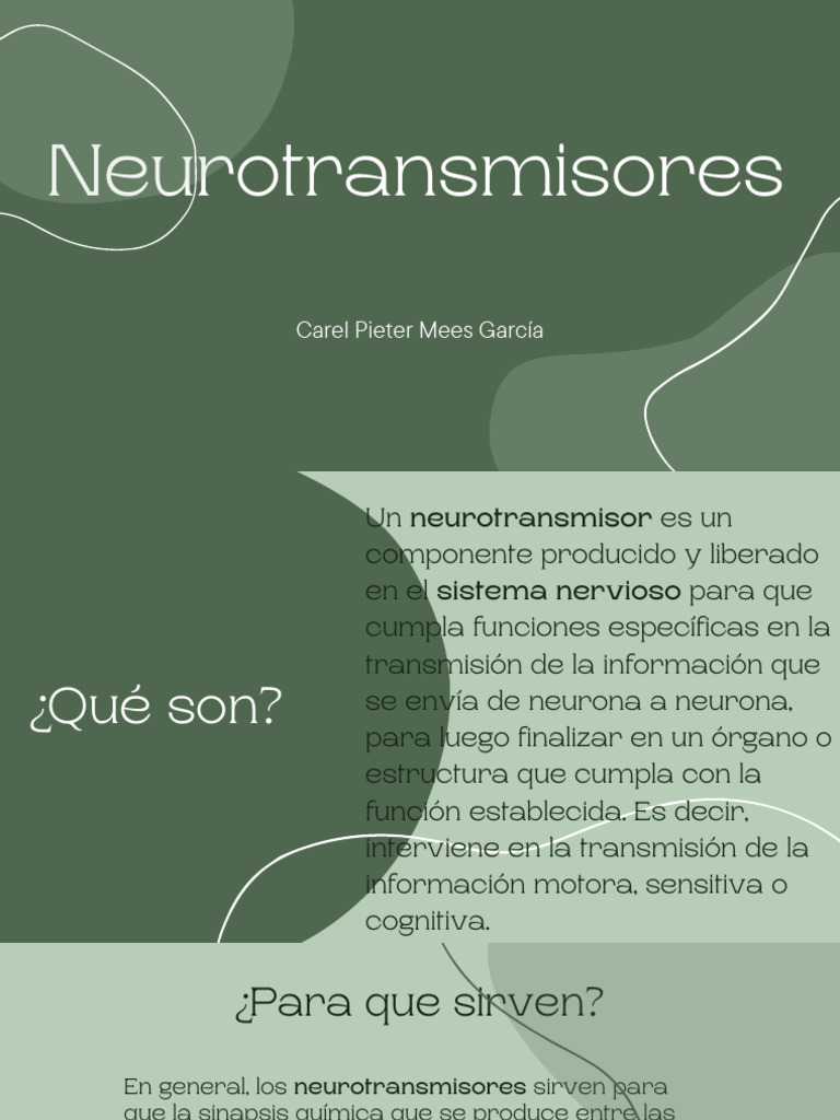 Neuro Transm I Sores | PDF