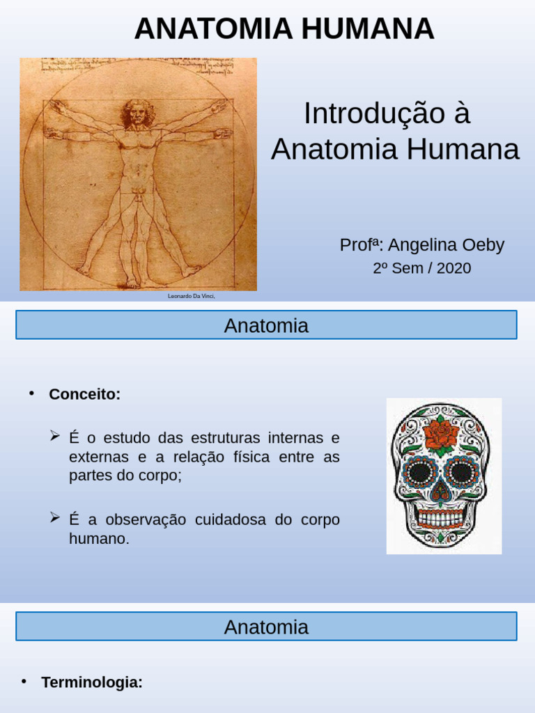ANAT HUM Aula 01 Introdução À Anatomia | PDF