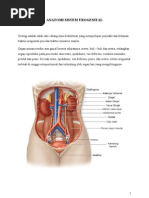 Download Anatomi Sistem Urogenital by Sri Wulantini SN76789506 doc pdf