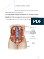 Anatomi Sistem Urogenital