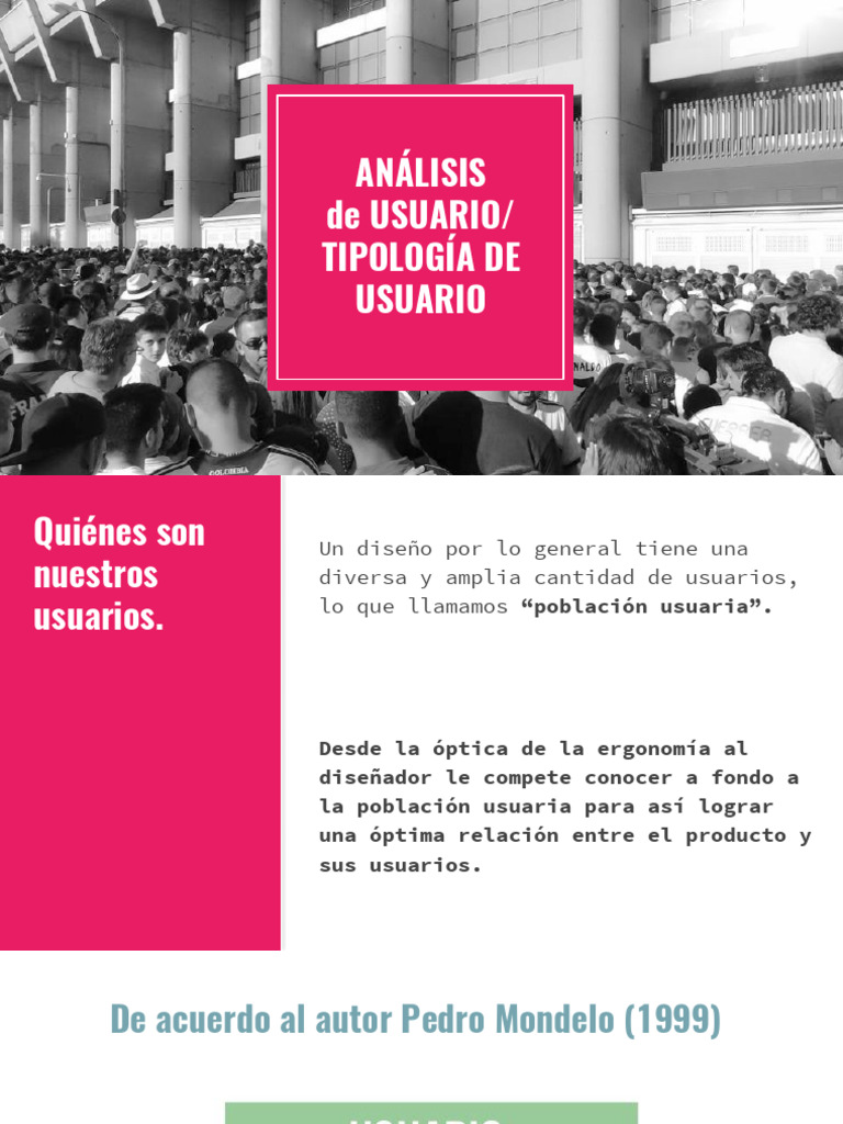 Analisis de Usuario y Tipologia de Usuarios | PDF