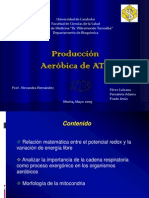 Produccion Aerobica Del ATP III