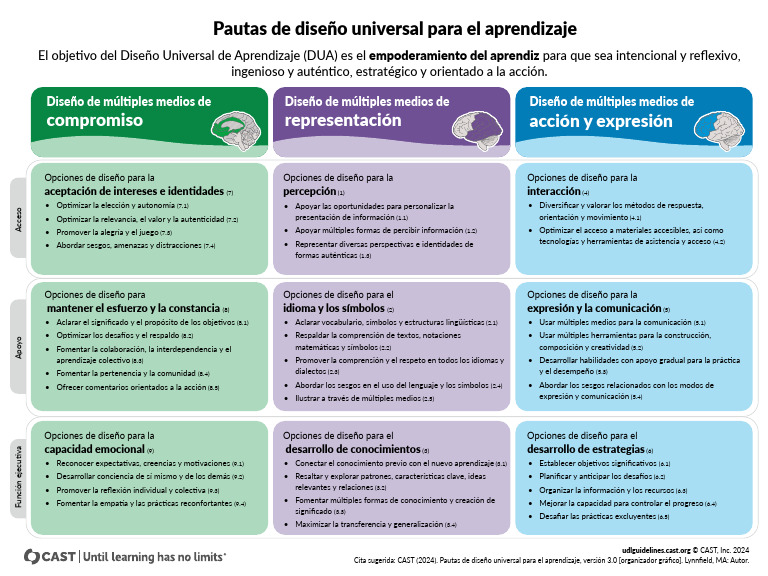 Pautas Dua 3 0 Diseño Inclusivo 2024 Pdf Diseño Procesos Mentales