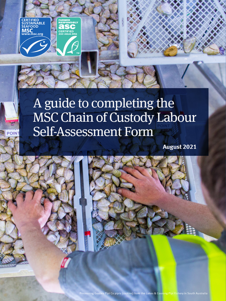 Guidance Self Assesment | PDF