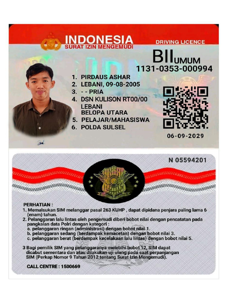 SIM | PDF