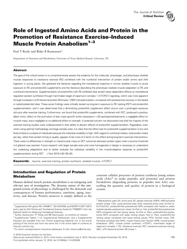 Protein | PDF
