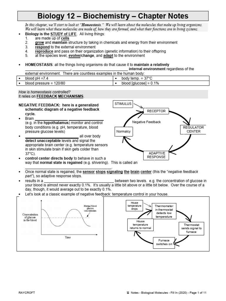RNA Molecules and Protein Monomers | PDF | Nucleotides | Carbohydrates