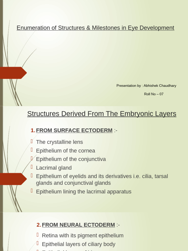 Structures & Milestones | PDF