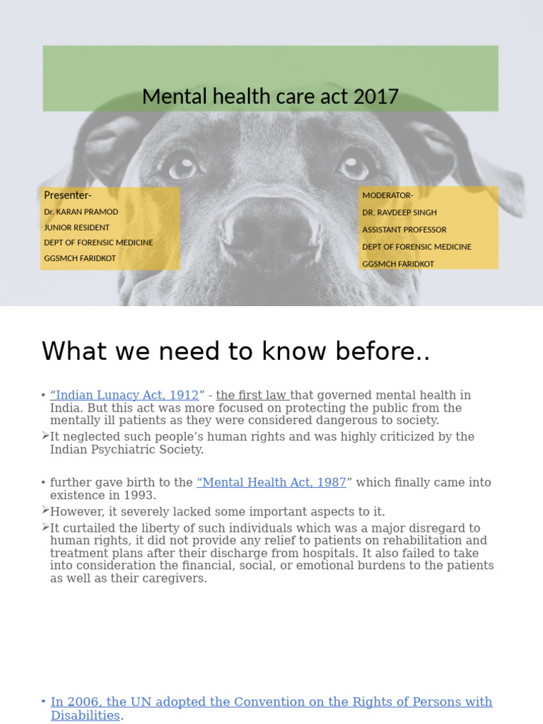 Mental Health Care Act 2017 | PDF