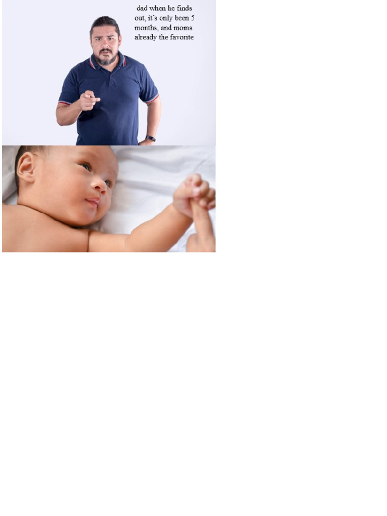 Meme | PDF