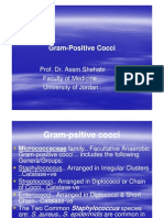 Gram Positive Cocci