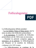 Folliculogenèse