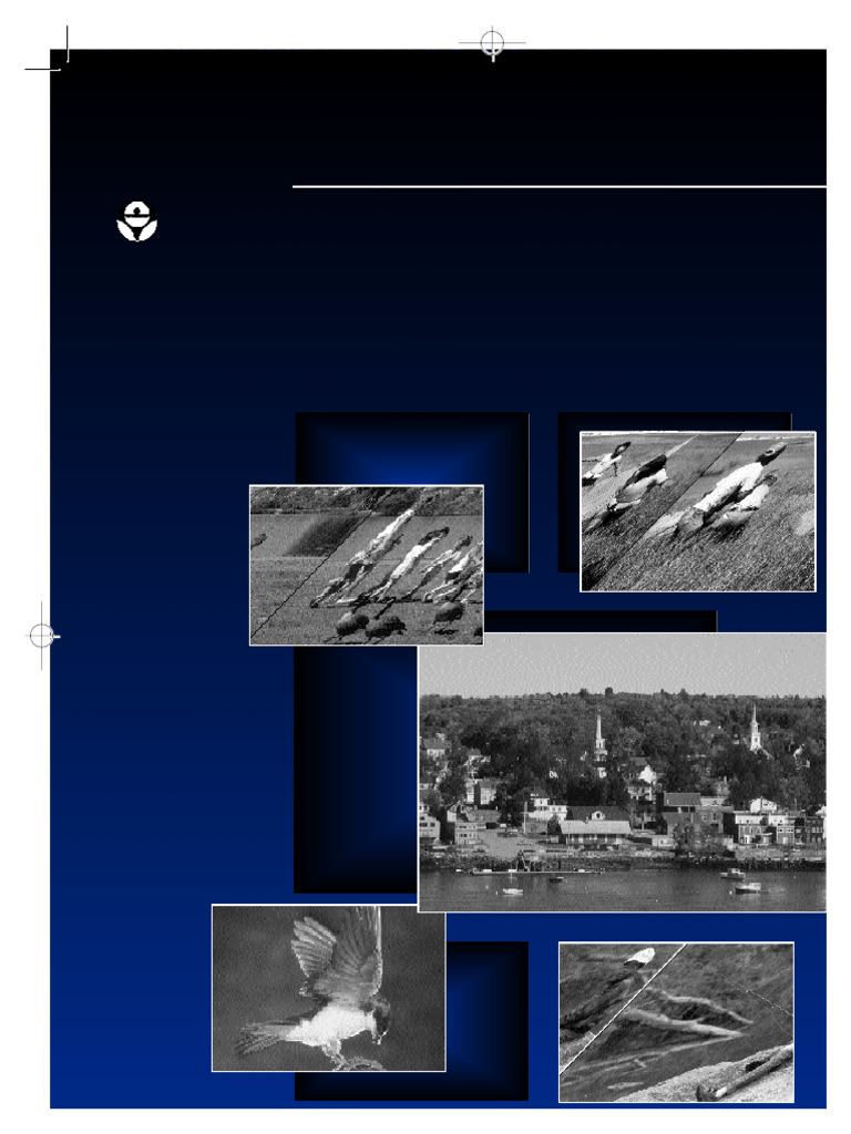 Community Based Environmental Protection | PDF