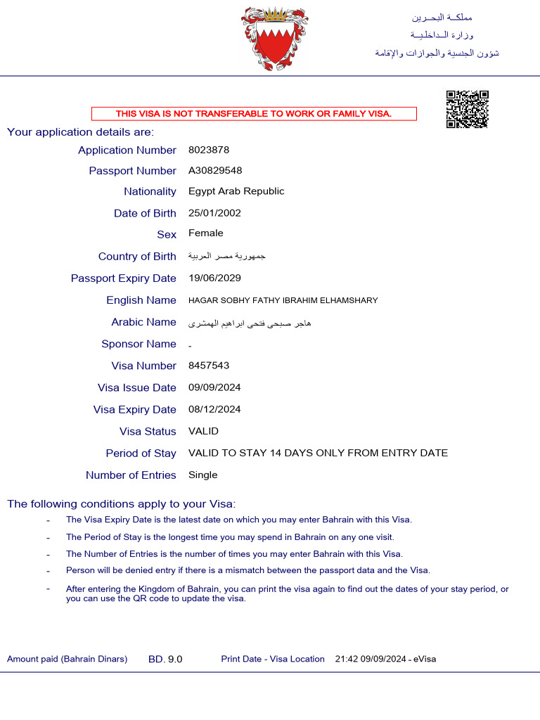 Visa | PDF