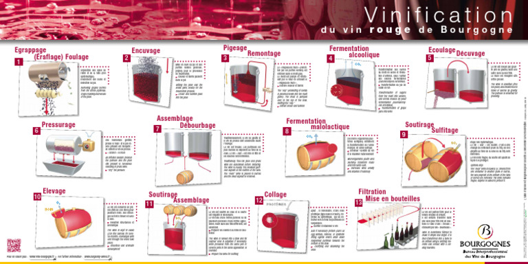 Poster - Vinification - Rouge | PDF | Winemaking | Phenolic Content In Wine