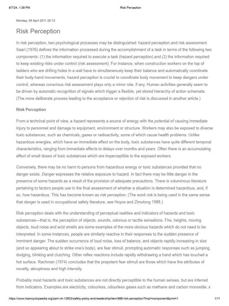 Risk Perception Pdf