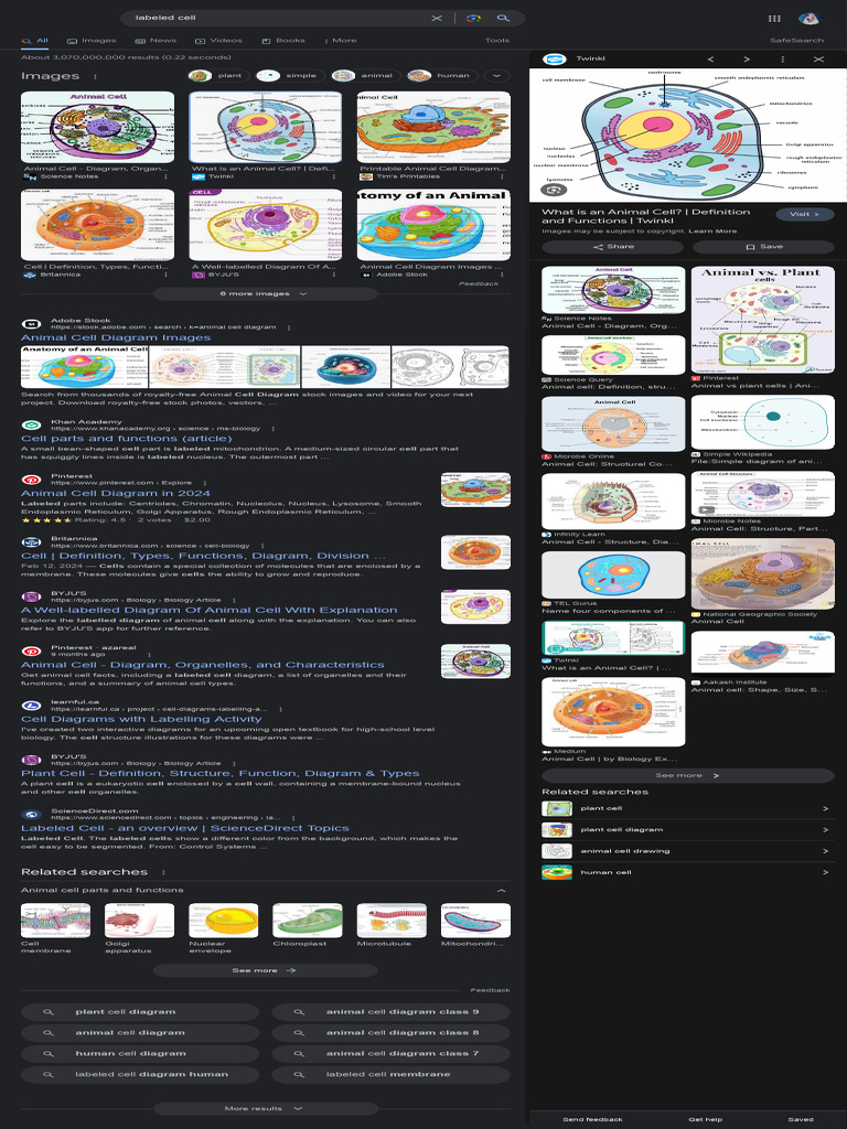 Labeled Cell - Google Search | PDF