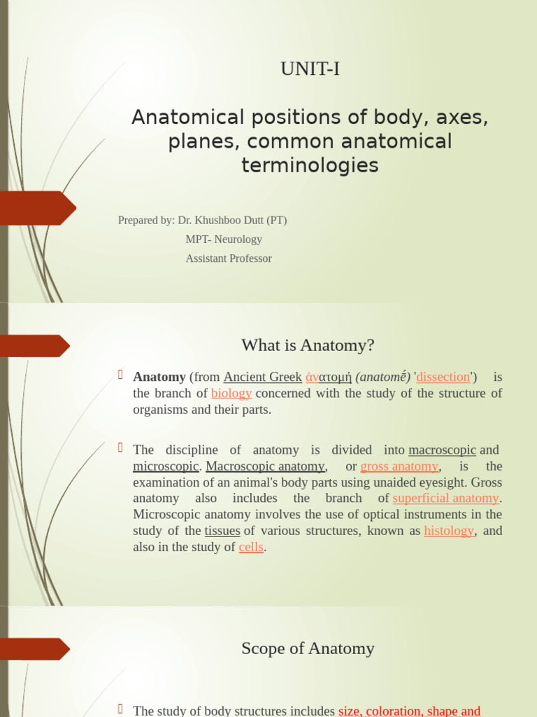 ANATOMICAL DEFINITION AND MEANING visual data 7