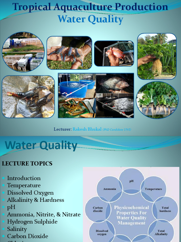 Tropical Aquaculture Production Lecture - Water Quality | PDF