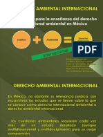 Derecho Ambiental Internacional