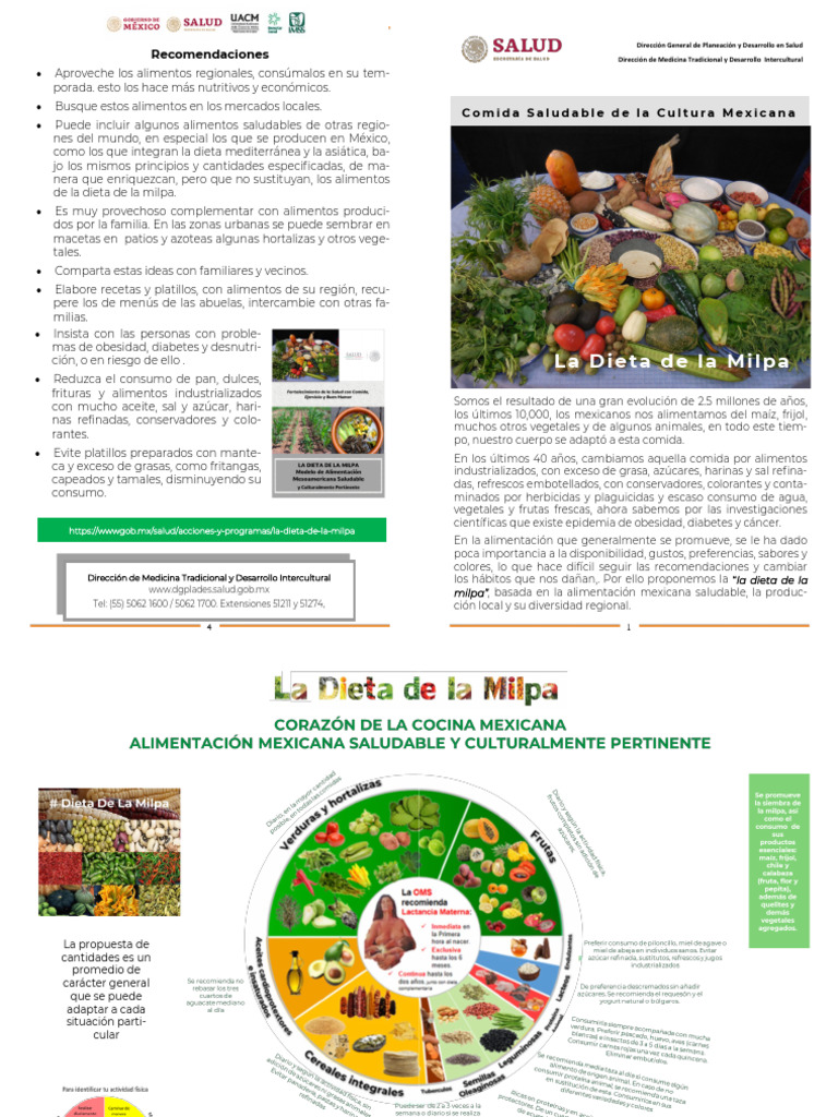 Dieta de La Milpa | PDF | Alimentos | Dieta