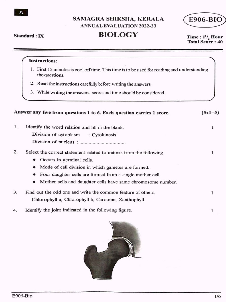 BIOLOGY (EM) Question Paper Kerala Class 9 Annual Exam March 2023 | PDF