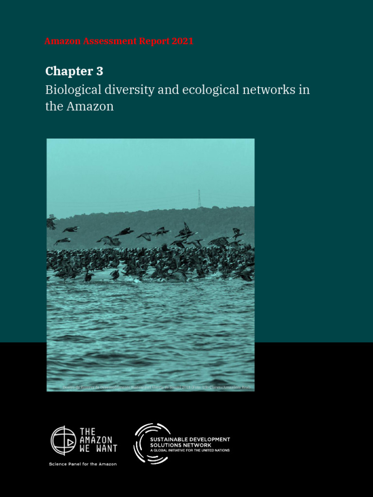 Amazon Assessment Report 2021 - Chapter 3 Bound May 9 1234567 | PDF