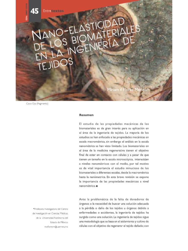 Nano Elasticidad | PDF