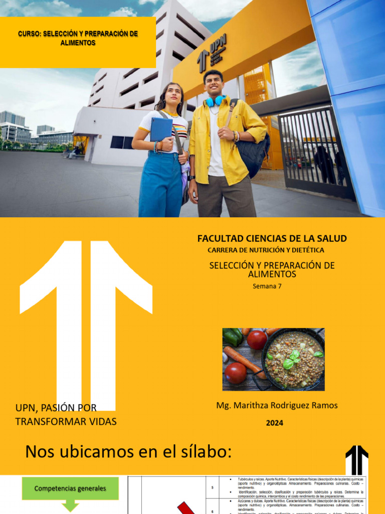 Semana 7 Sypa 2024 | PDF
