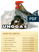 Presentasi Unggas