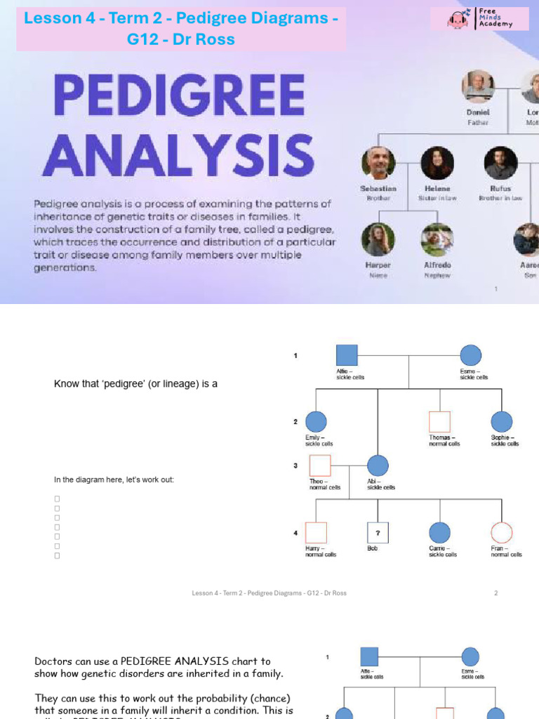 Lesson 4 - Term 2 - Pedigree Diagrams - G12 | PDF