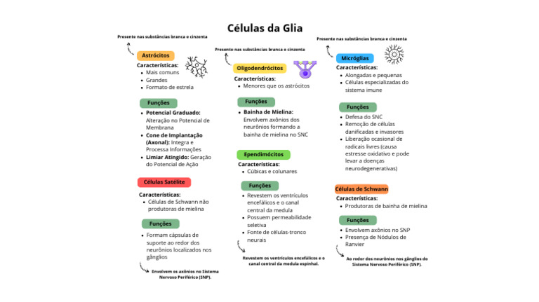 Células Da Glia Mapa Mental | PDF