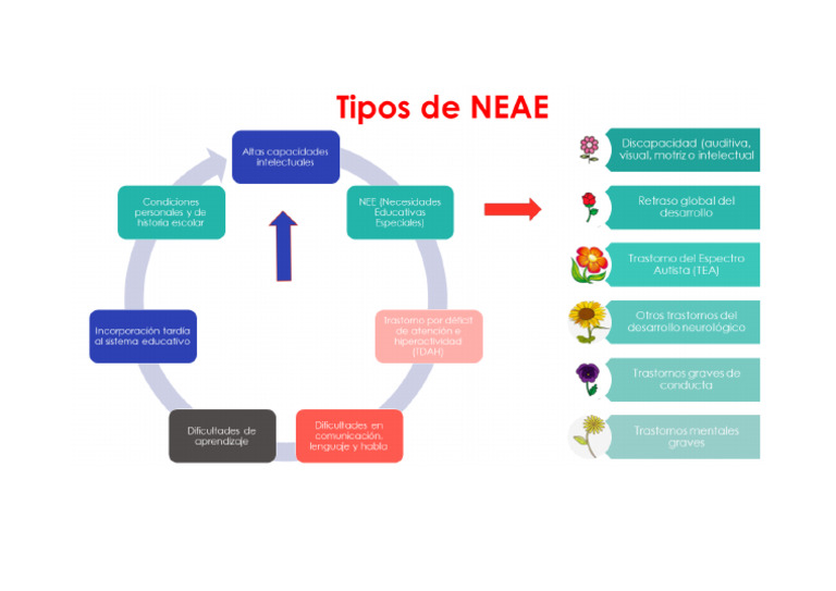 Imagen NEAE | PDF