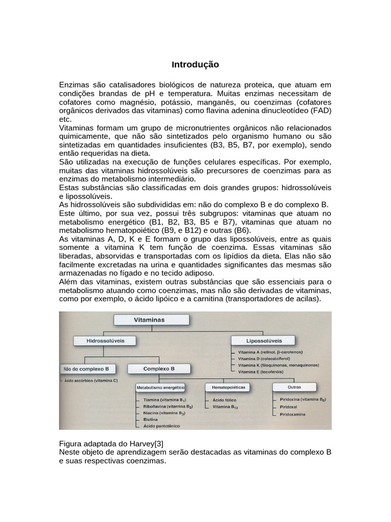 Vitaminas Do Complexo B | PDF