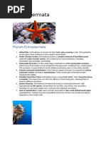Echinoderms 3 | PDF