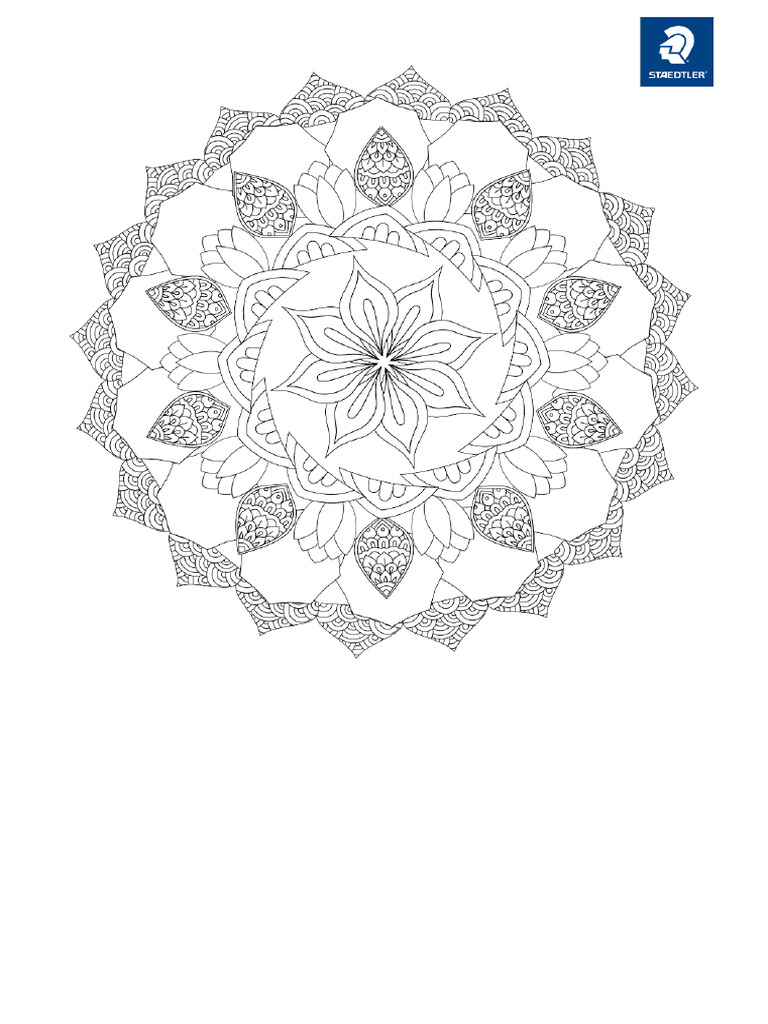 A1 French Syllabus 8129