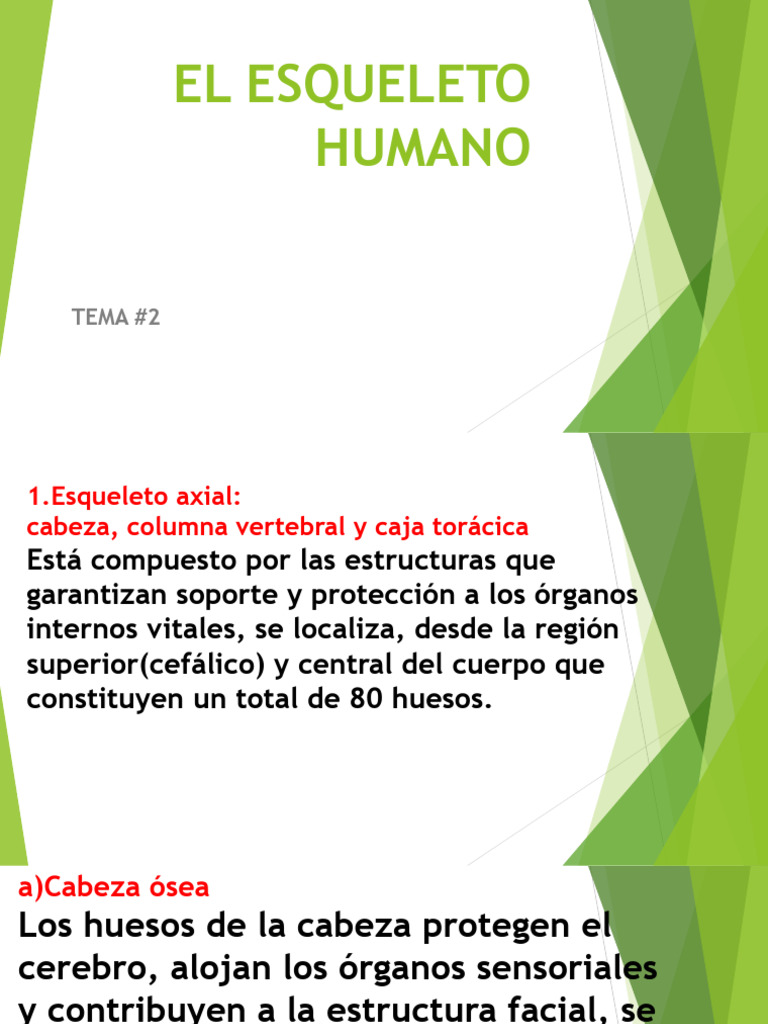 Tema 2 El Esqueleto Humano Pdf