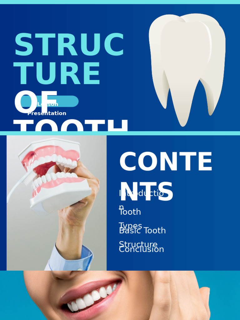 Structure of Tooth | PDF