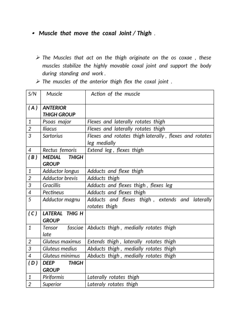 Thigh Leg Pdf Foot Human Leg