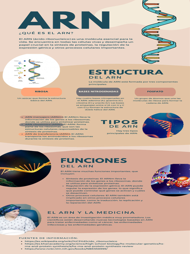 Estructura: Tipos | PDF