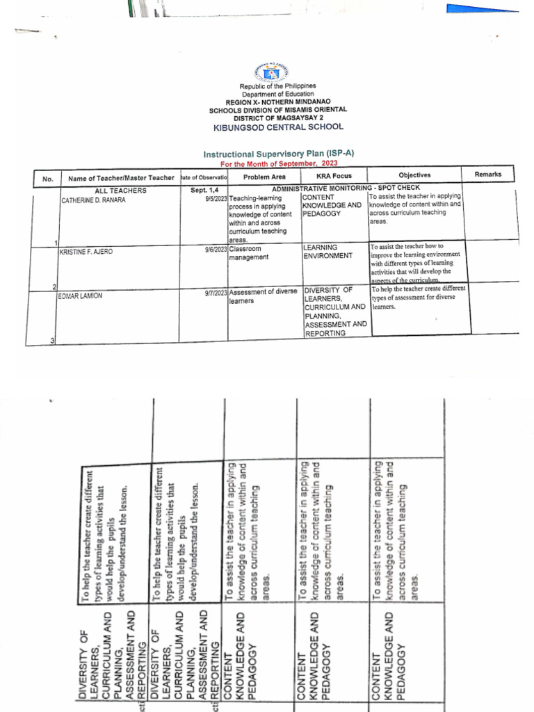 Instructional Supervisor Plan | PDF